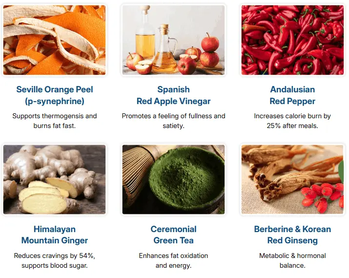 citrus burn-ingredients)